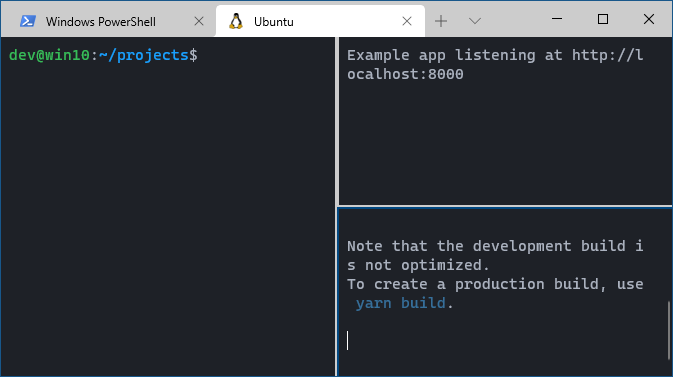 Two projects running after executing their start commands